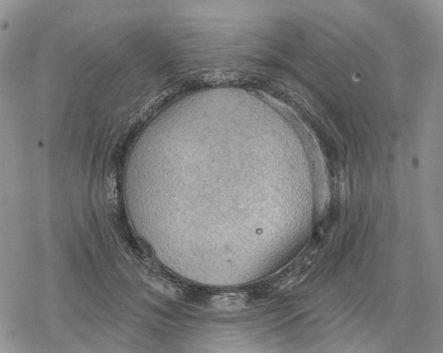 X0000078230700200611251214