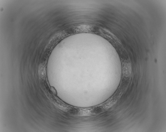 X0000078230701200611251214