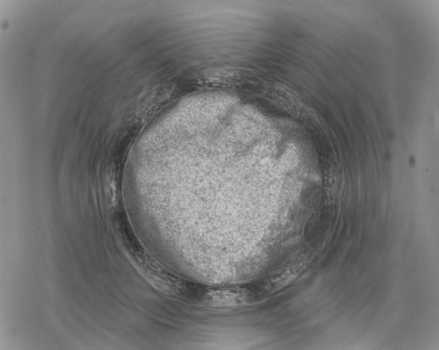 X0000078230703200611251214