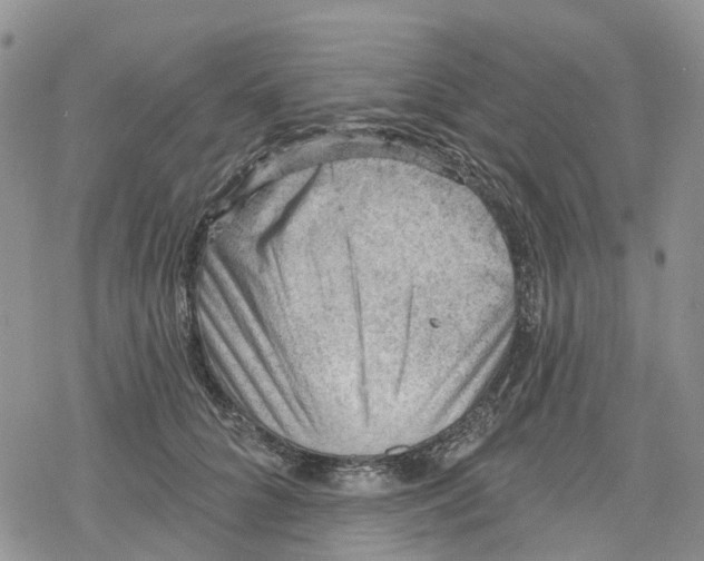 X0000078230704200611251214