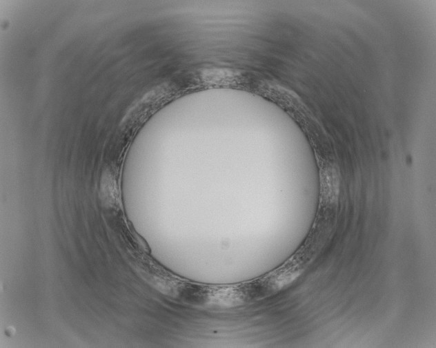 X0000078230705200611251214