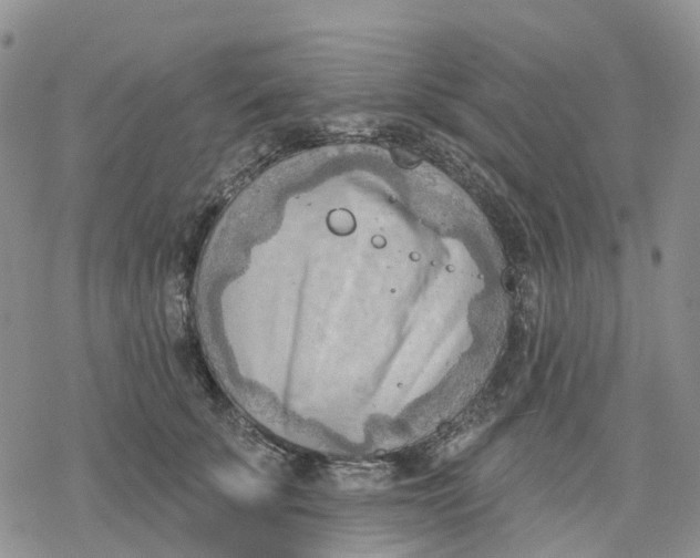 X0000078230707200611251214