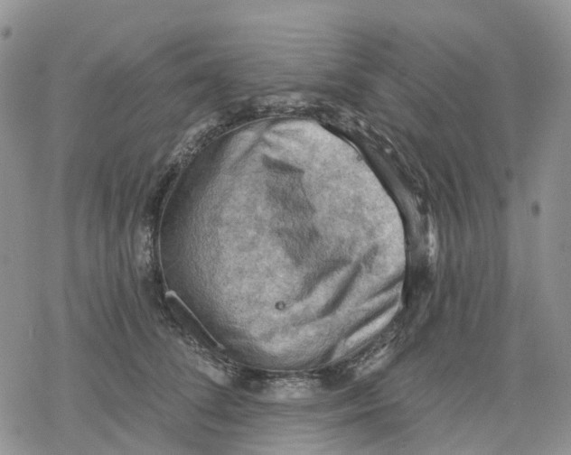 X0000078230708200611251214