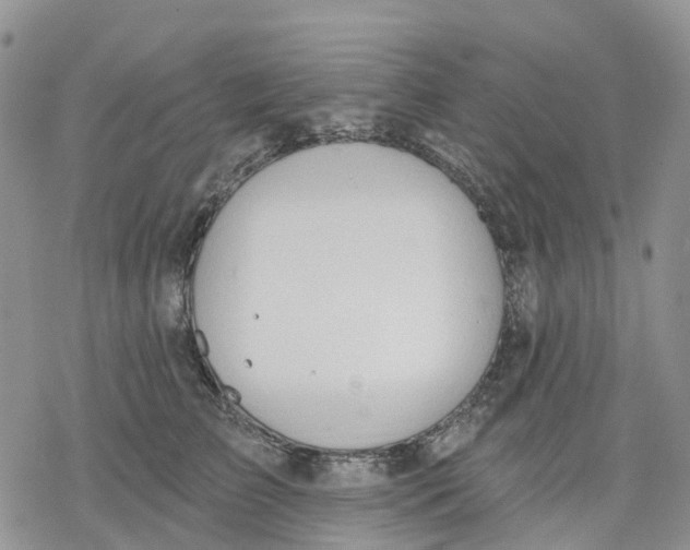 X0000078230709200611251214