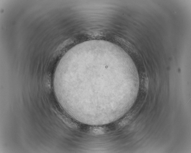 X0000078230710200611251214