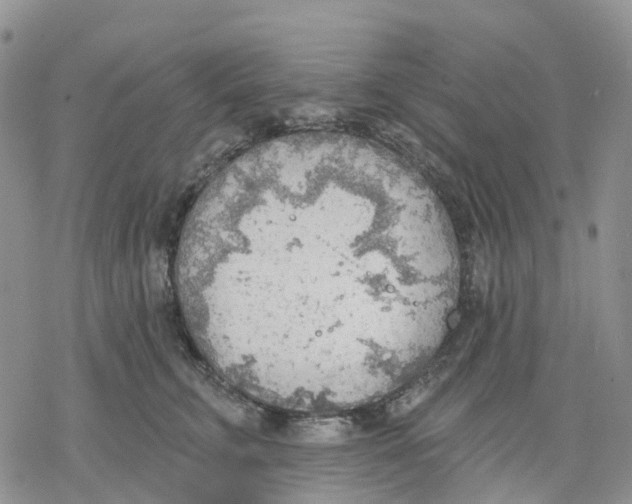 X0000078230711200611251214