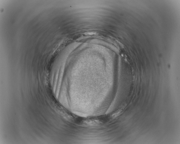 X0000078230712200611251214