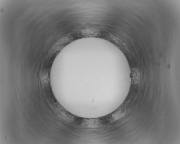 X0000078230713200611251214