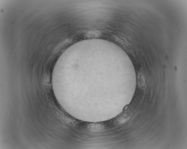 X0000078230714200611251214