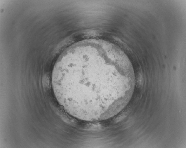 X0000078230715200611251214