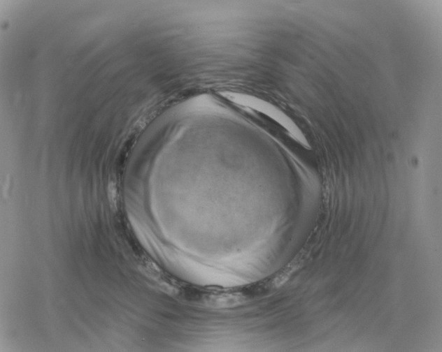 X0000078230716200611251214