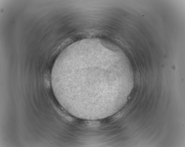 X0000078230719200611251214