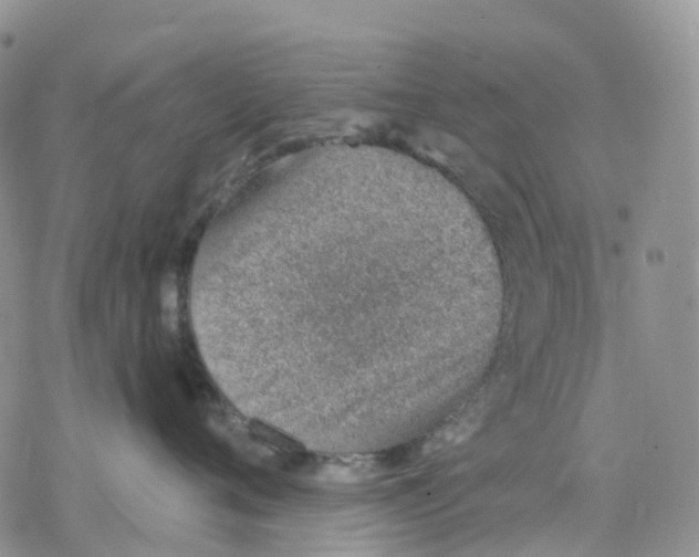 X0000078230720200611251214