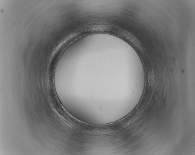 X0000078230722200611251213