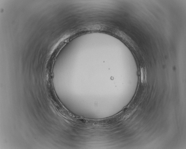 X0000078230723200611251213