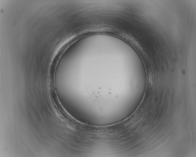 X0000078230724200611251213