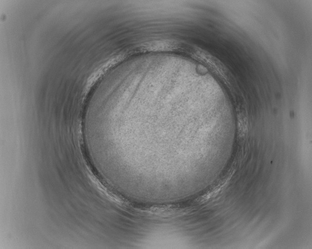 X0000078230725200611251213