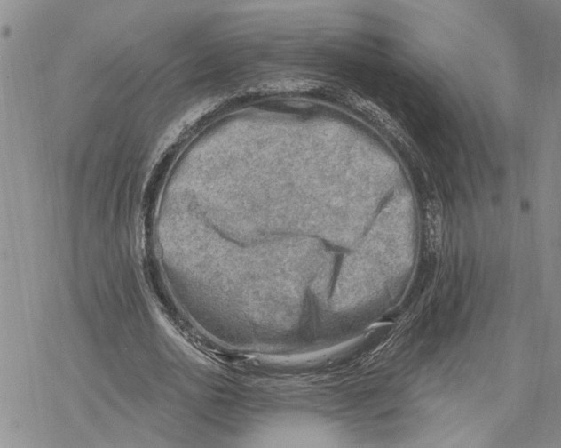 X0000078230726200611251213