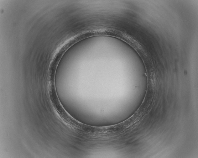 X0000078230728200611251213