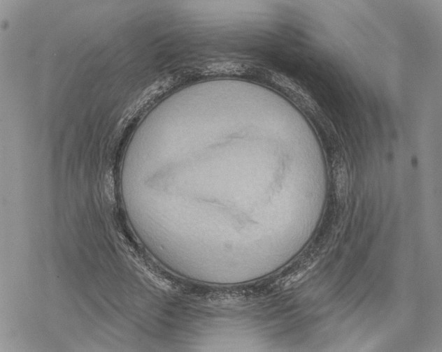 X0000078230729200611251213