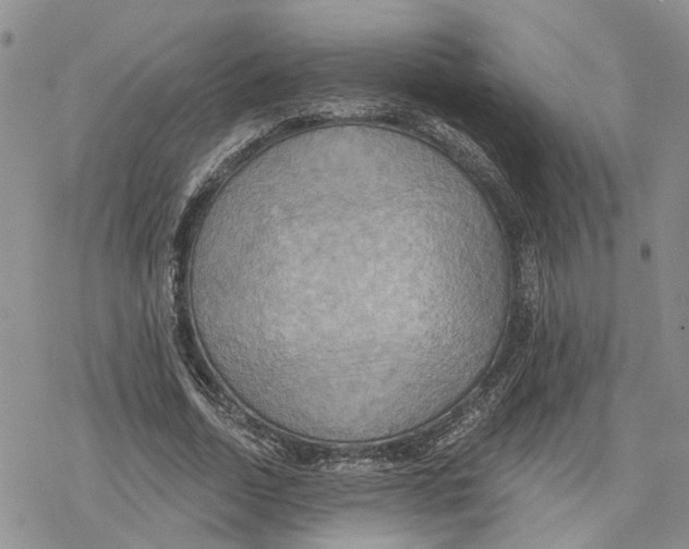 X0000078230730200611251213