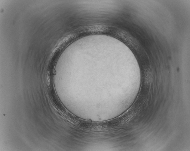 X0000078230731200611251213