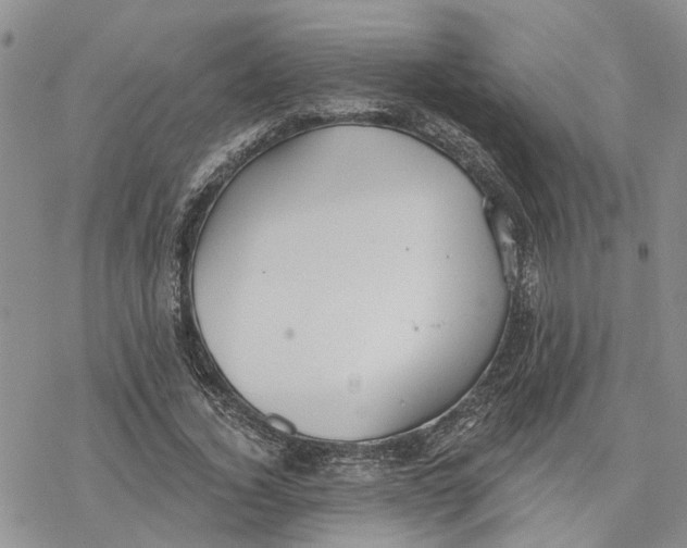 X0000078230732200611251213