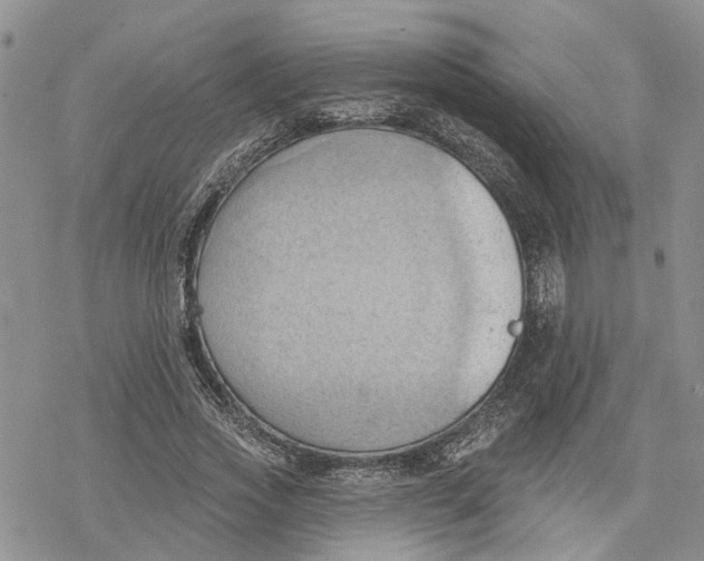 X0000078230733200611251213