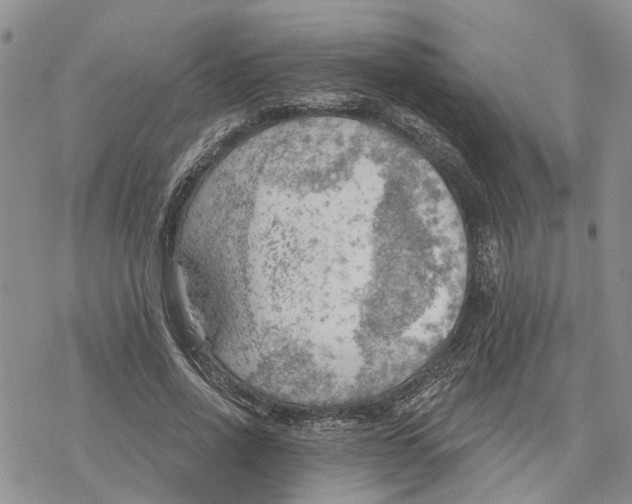 X0000078230734200611251213