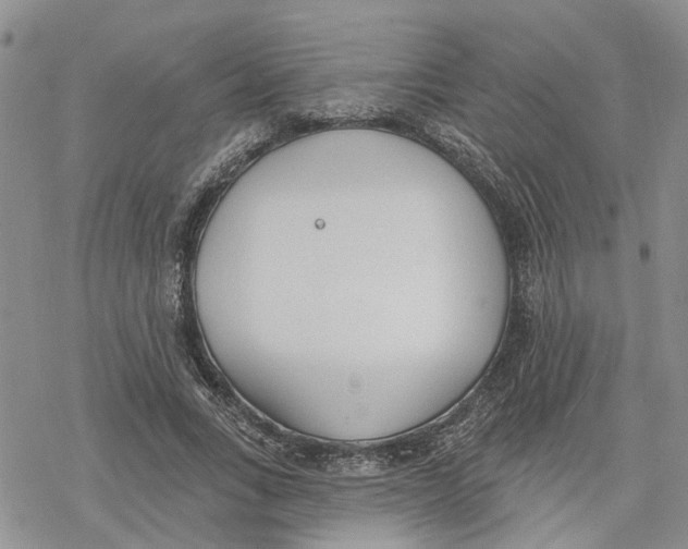 X0000078230735200611251213