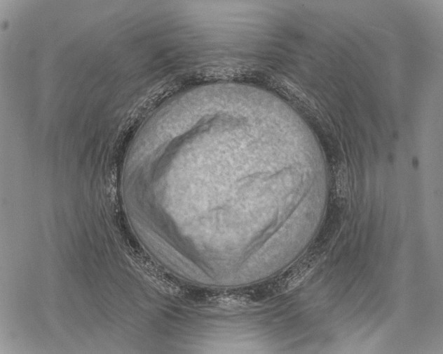 X0000078230737200611251213