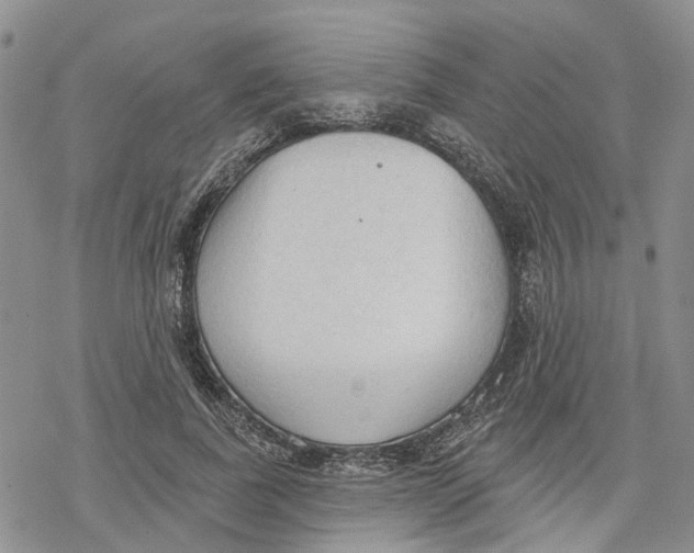 X0000078230739200611251213