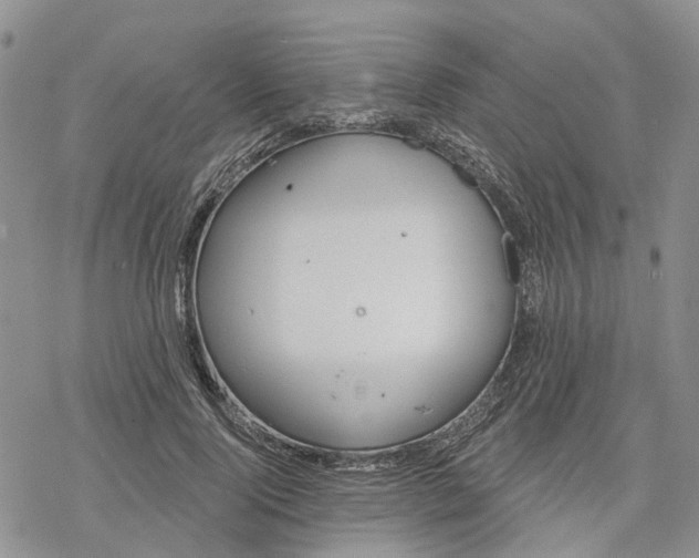 X0000078230740200611251213