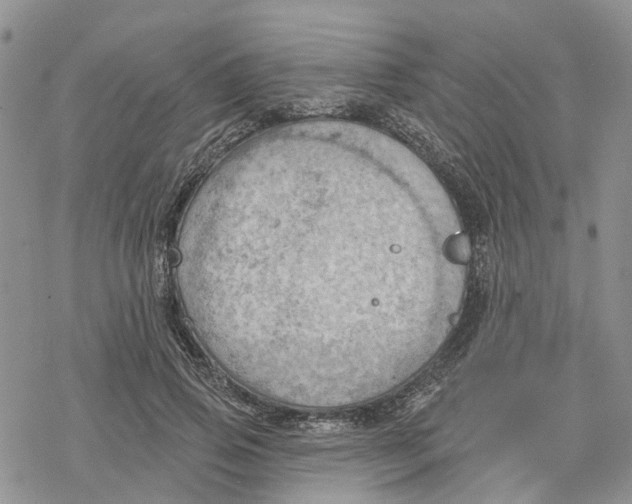 X0000078230741200611251213