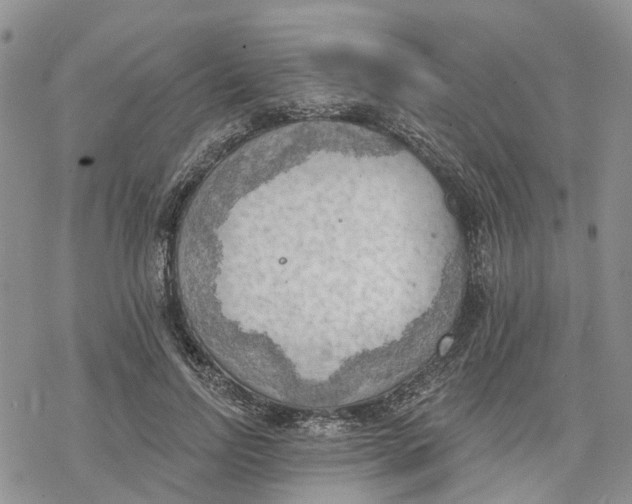 X0000078230742200611251213