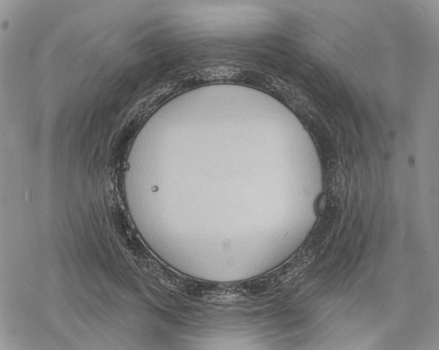 X0000078230743200611251213