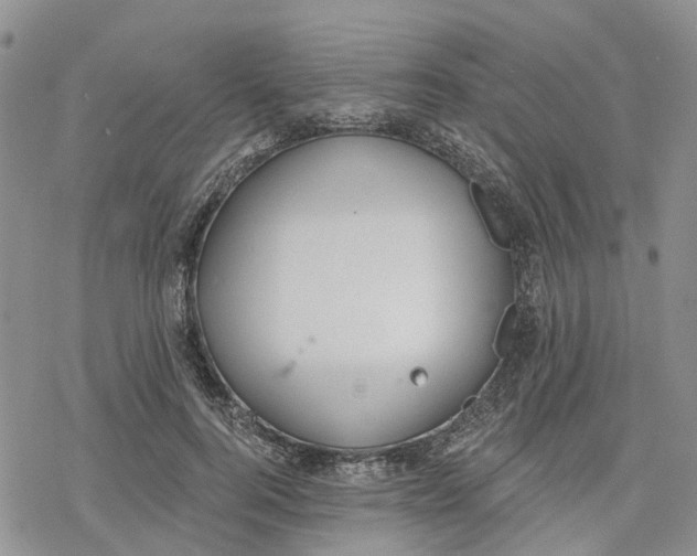 X0000078230744200611251213