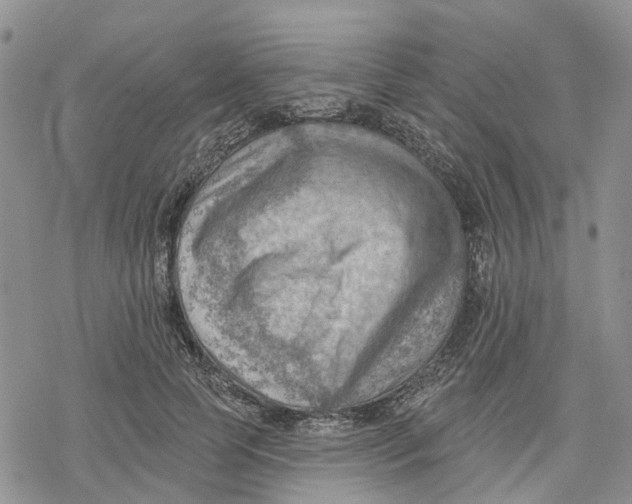 X0000078230745200611251213