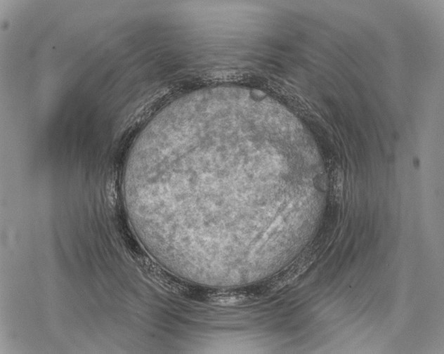 X0000078230746200611251213