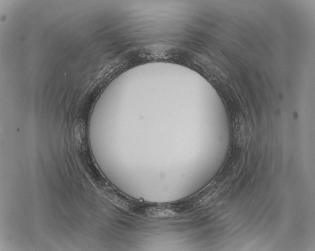 X0000078230747200611251213