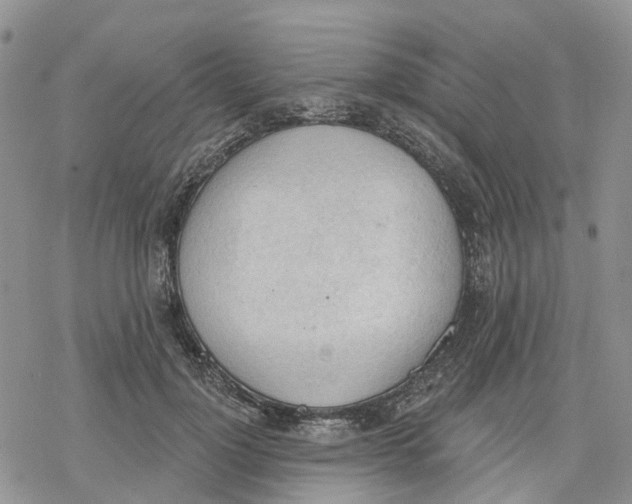 X0000078230748200611251213