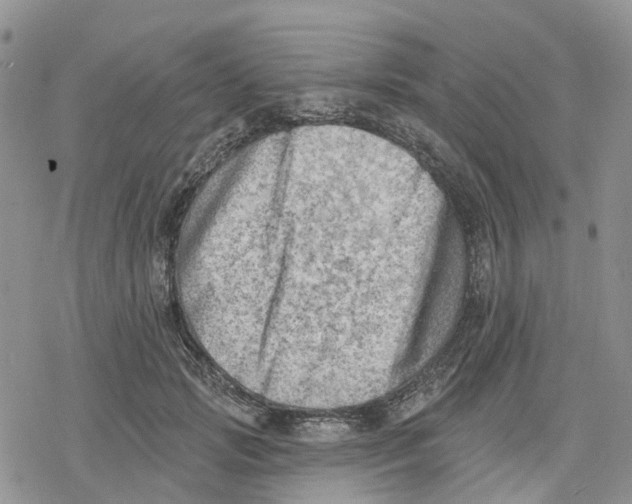 X0000078230749200611251214