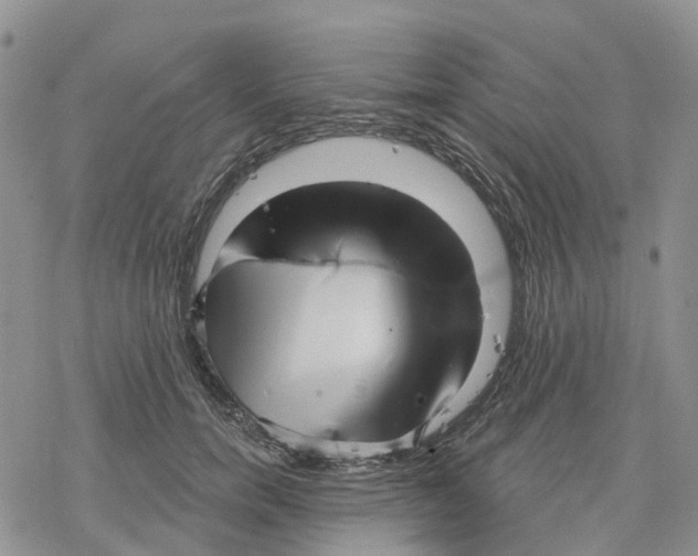 X0000078230750200611251214