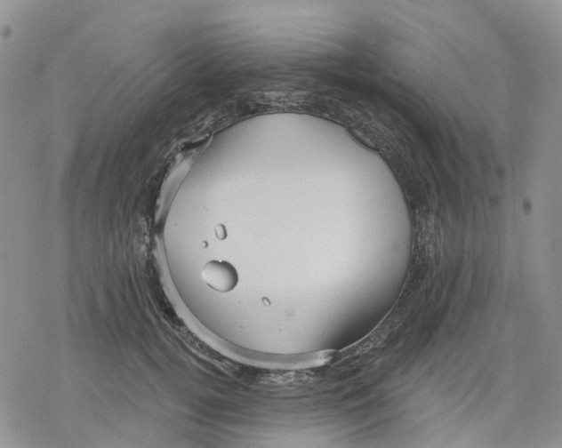 X0000078230752200611251214