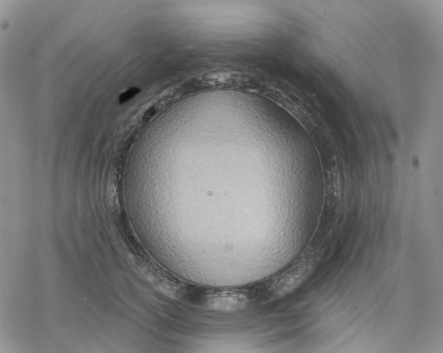 X0000078230754200611251214