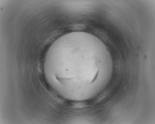 X0000078230755200611251214