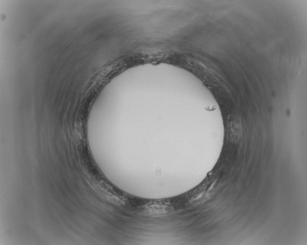 X0000078230756200611251214