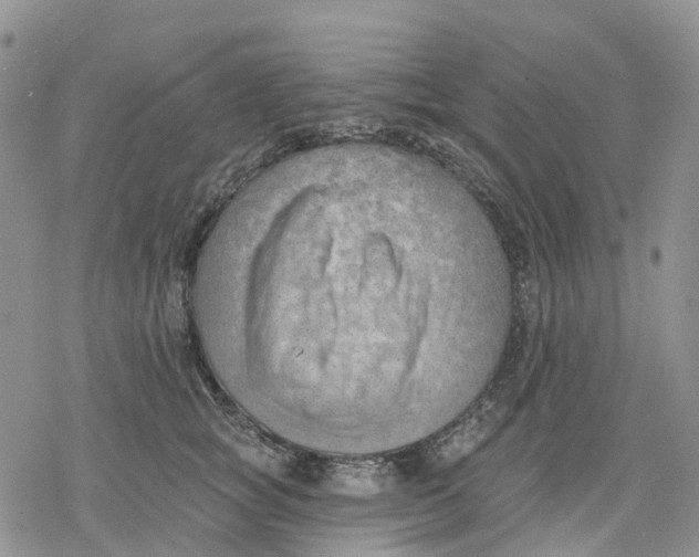 X0000078230757200611251214