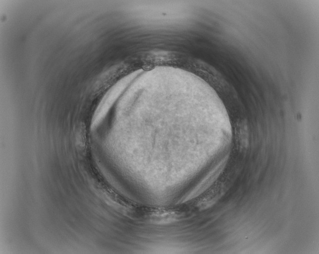 X0000078230760200611251214