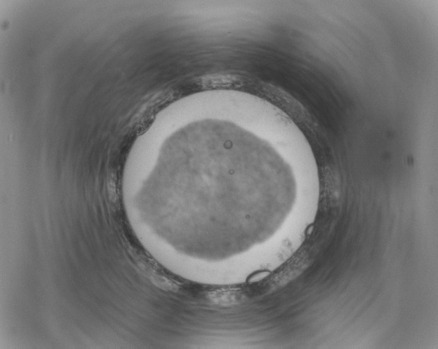 X0000078230761200611251214